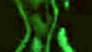 Wonderful Vintage Threesome Porn! Hairy Beavers in Retro Group Action!