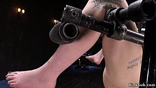 how does it feel, slave, with pierced nipples in torment?