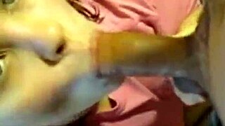 Lexi's sucking and kissing that hard cock balls deep