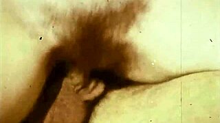 Wonderful Vintage Threesome Porn! Hairy Beavers in Retro Group Action!
