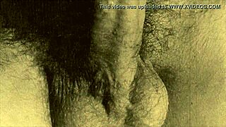 The erotic confessions of a Victorian gentleman.