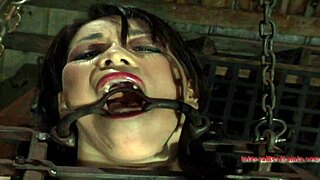 Hey, wanna see this tattooed gal get shocked by a toy on her wet crack?