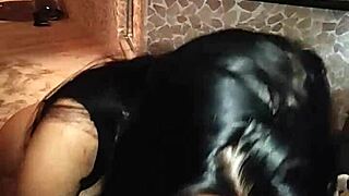 Pov suck and swallow, what a thrill!