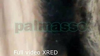 Babe rides in forest car for secret creampie while husband works