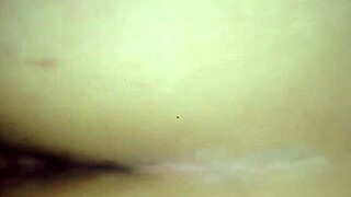 fucking my wife hard in the ass every night