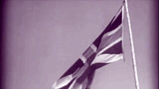 dark lantern entertainment spins a wild tale of the dragonfly's vintage trio