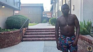 layla quinn takes rome major's cock