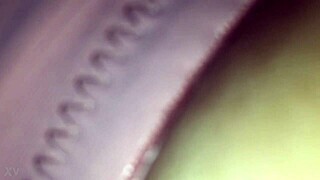 i bent over for deepthroat dildo fucking in doggystyle toys play