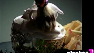 Nice looking teen 18+ olivia paige posed in hot lingerie before nice striptease