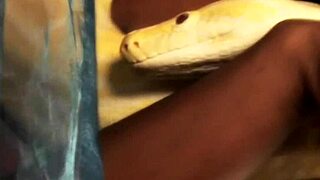 Beautiful Indian dance sparks wild arousal in secret moments.