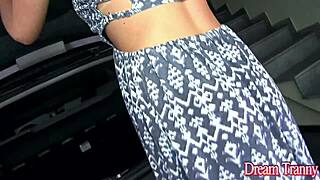 A transsexual woman, Mariana Lins, gets down and dirty with a man about whom she knows nothing