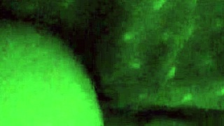 I caught my sexy student napping, and she settled with her ass getting fucked.