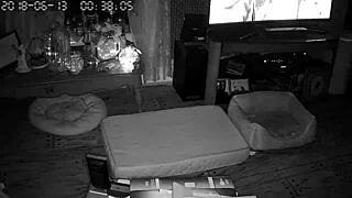 Wife Sucking Husband's Cock Deeply