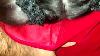 Does Little Red Riding Hood Fuck Big Bad Wolf?