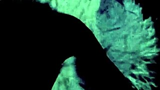 dark lantern entertainment presents two centuries of vintage porn