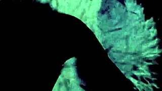 dark lantern erotic confessions 😏