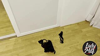 Stellar Bluue Gets Fucked By Crazy Fan In Flat