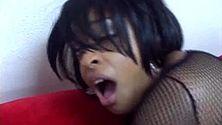 Scene from fly bitches volume 3 with cougar deepthroat and cumshot.