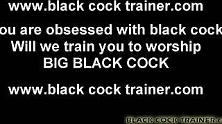 big black cock porn found on computer