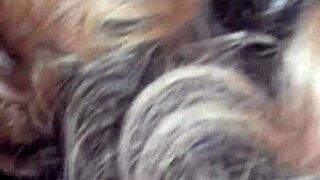 recording from october 14, 2017