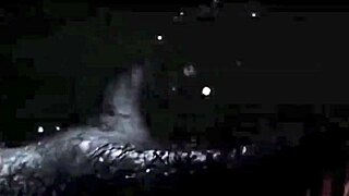 Vintage White Cocks Black Pussy Contrast.