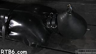 Zealous booty whipping for that babe! 😈