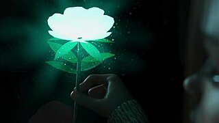 summers gone - shes gone start of chapter 1 - part 1