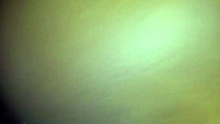 Xvidos presents detailed videos in categories like shaved and hairless