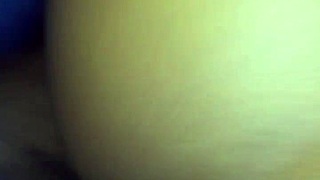 Xvidos presents detailed videos in categories like shaved and hairless