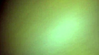 Xvidos presents detailed videos in categories like shaved and hairless