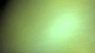 Xvidos presents detailed videos in categories like shaved and hairless