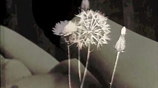 My secret life with vintage grannies