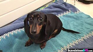 Janice Prepares Things In Nude POV Closeup