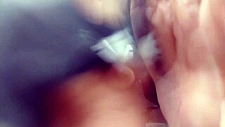 Elimartinexx update 3 inshot feb 05 2024.