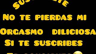 Elimartinexx update 3 inshot feb 05 2024.