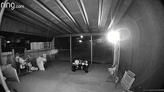 she says, 'i got caught sucking dick on the porch with the gate open'