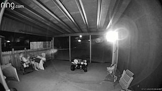 she says, 'i got caught sucking dick on the porch with the gate open'