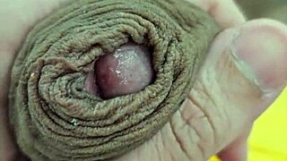 Young Brazilian Twink Solo in Amateur Jack-Off Session