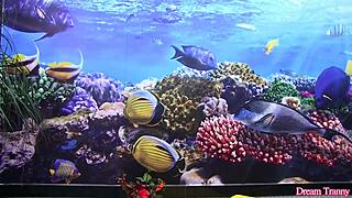 hot and sexy tgirl marcelle herrera fucks a rubber cock solo