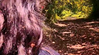 Yo, pissing in the forest for my pee fans!