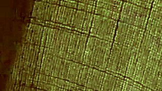 spying on cheating wife taking bbc creampie deep inside