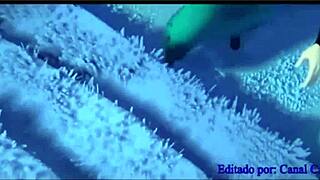 I love Elsa and Anna transanding in Frozen 3, so hot!