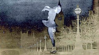 Vintage Diaries Of An English Gentleman