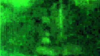 Vintage Diaries Of An English Gentleman