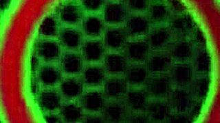 nympho sara jay bent over for wild doggystyle action with dildo