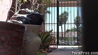 Ashlii Orion performs blowjob in public outdoor setting