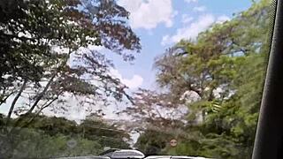 roadside sex with latina amateurs