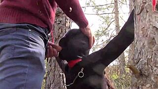 Řekla: Svaz mě v lese a jeb mě tvrdě do krku.