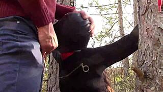 Ormanda bağla beni ve boğazımı sertçe sik dedi