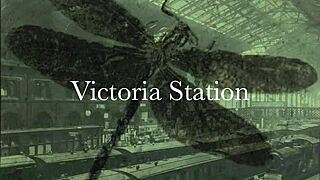 What Secrets Does Dragonfly Hide in Vintage Action?